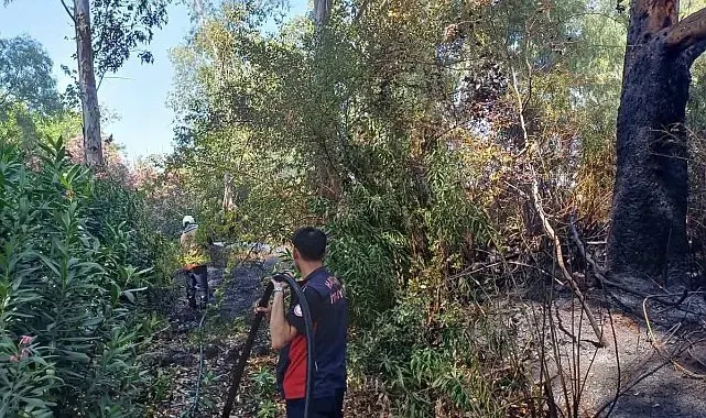 Hassa'da bahçe yangını