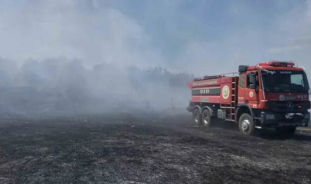 Burhaniye'de örtü yangını zeytinliklere sıçramadan kontrol altına alındı