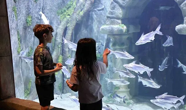 Kıtalar arası akvaryuma 2 saatte 2 bin ziyaretçi akın etti