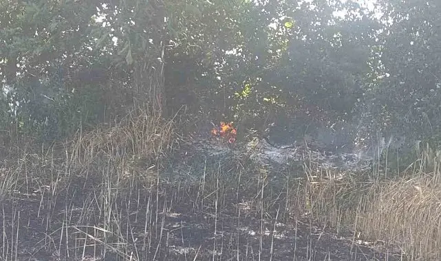 Çan'da tarla yangınında 2 ekili alan kül oldu