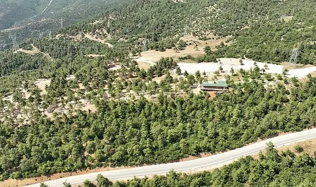Gürsu Mesire alanı yeniden açılıyor