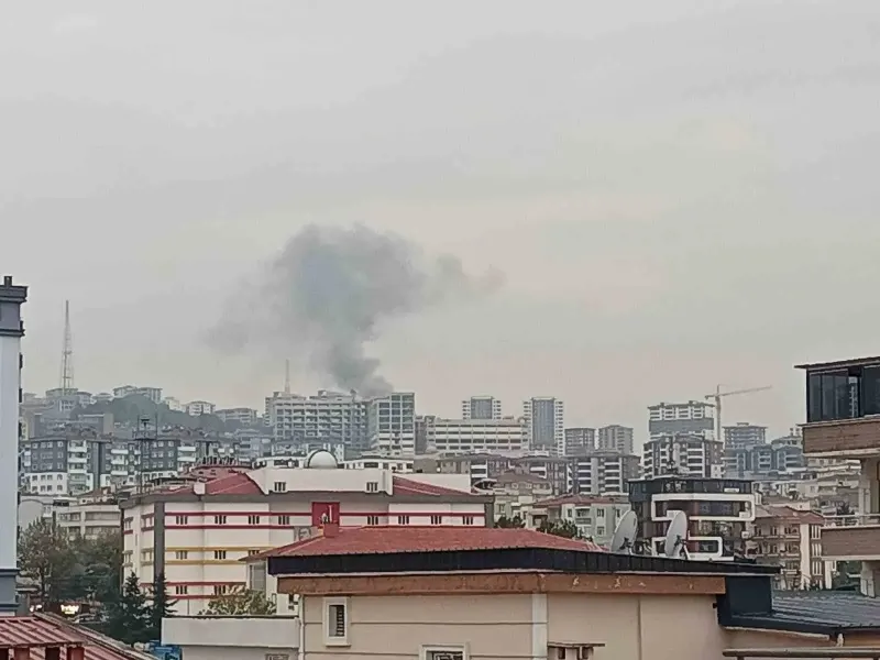 Samsun Atakum'da Bahçede Yakılan Anız Paniğe Neden Oldu