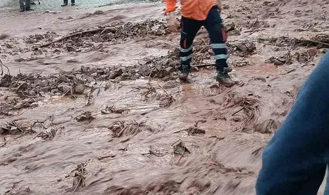 Artvin'de sağanak sonrası dereler taştı