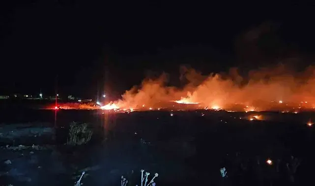 Burhaniye'de korkutan örtü yangını