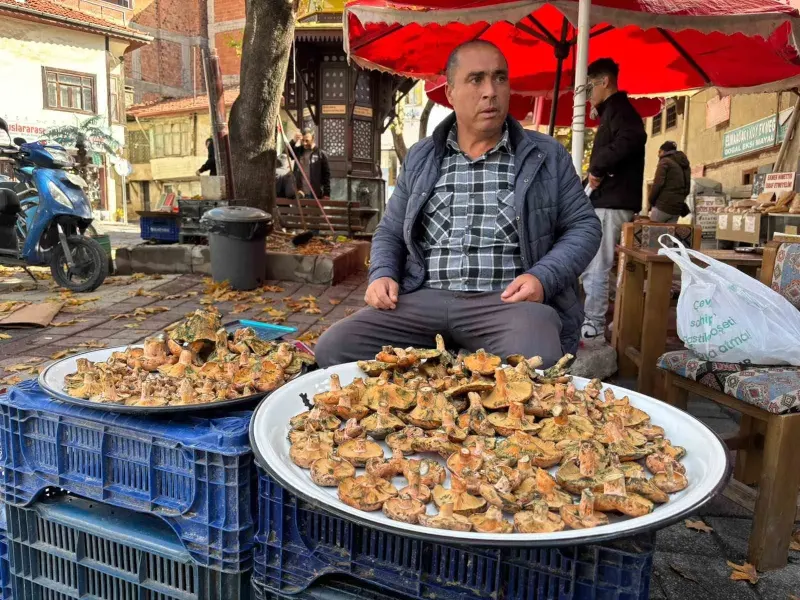 Kütahya Tavşanlı'da Melki Mantarı Pazar Tezgâhlarında Yerini Aldı