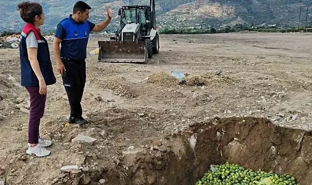 Bozdoğan'da hastalıklı ilekler imha edildi