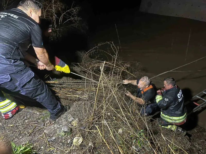 Ordu Fatsa'da Irmağın Ortasında Mahsur Kalan Sürücü Kurtarıldı