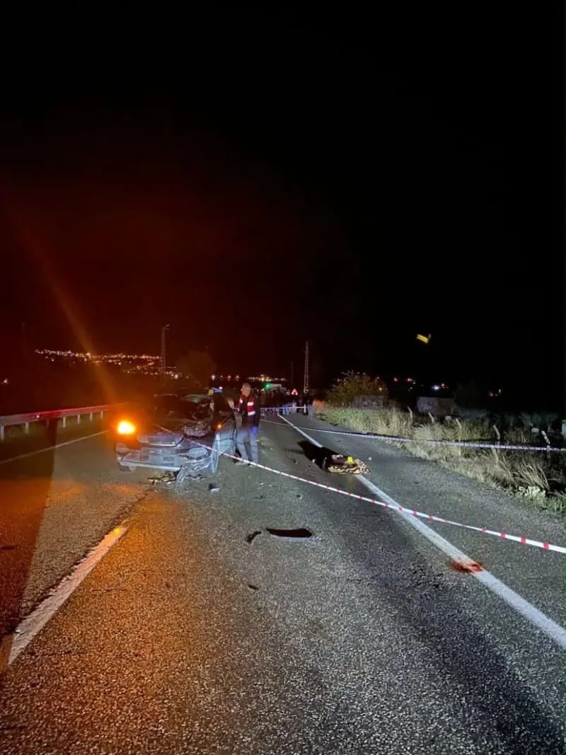 Elazığ'da Yolun Karşısına Geçmek İsterken Otomobilin Çarptığı Yaya Yaşamını Yitirdi