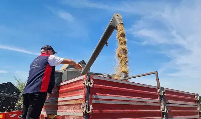 Çanakkale'de meralar güçleniyor