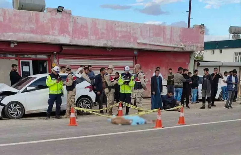 Şanlıurfa'da Otomobilin Çarptığı 9 Yaşındaki Çocuk Hayatını Kaybetti