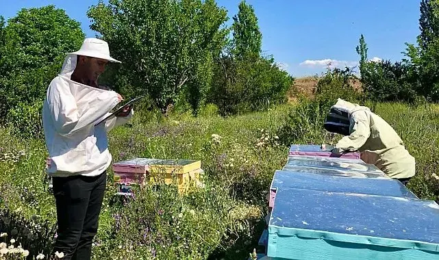 Sandıklı'da arı kovanları incelendi