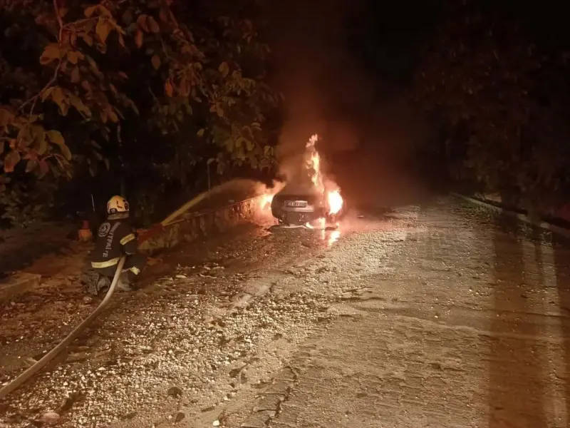 Pamukkale'de Park Halindeki Otomobil Alevlere Teslim Oldu