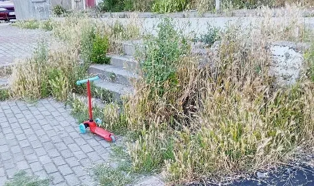 Otluk alana dönen bu park bakım ve temizlik bekliyor