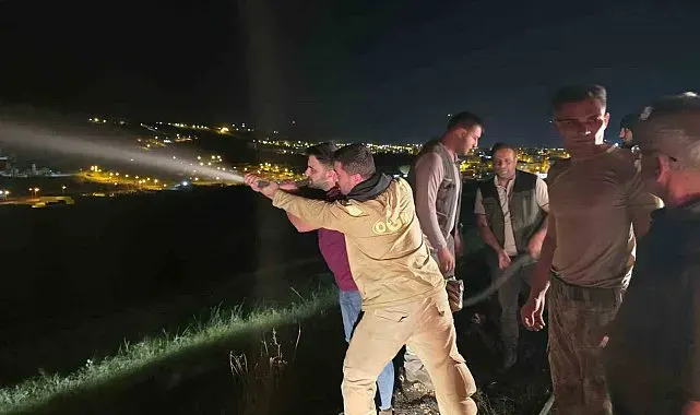 İdil'de alevlerle saatlerce mücadele: Yangın köy evlerine ulaşmadan söndürüldü