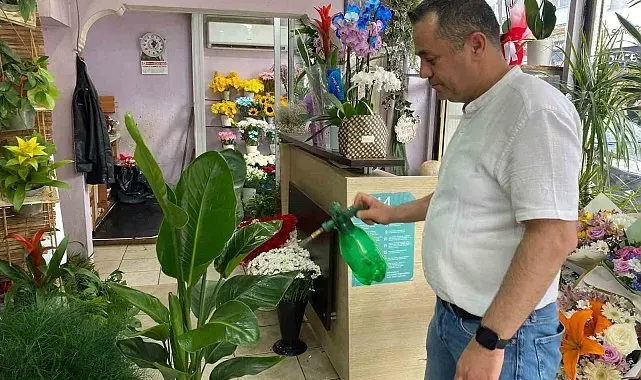 Yaz aylarında çiçek bakımında bunlara dikkat