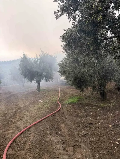 Balıkesir Erdek'te Zeytinlik Alandaki Evde Yangın Çıktı