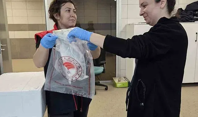Söke'de ihraç edilecek su ürünlerine sıkı denetim