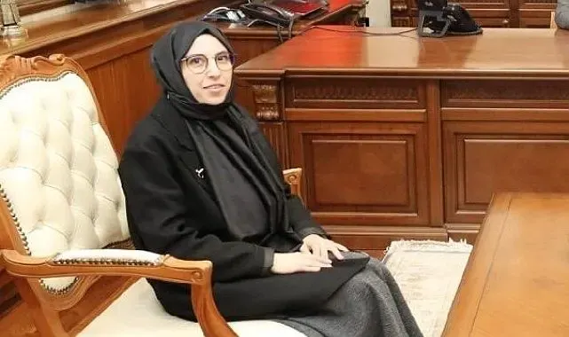 Vali yardımcıları ve kaymakamlar kararnamesi yayınlandı