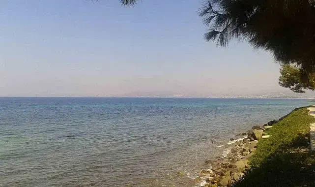 Kuşadası'nda deniz suyu kalitesi yüz güldürdü