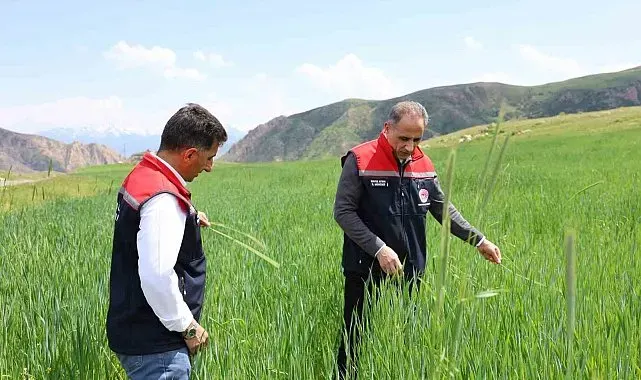 Kars'ta fenolojik gözlem çalışmaları sürüyor