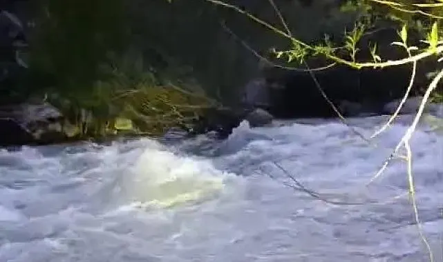Nehirde kaybolan şahıs için arama çalışması başlatıldı