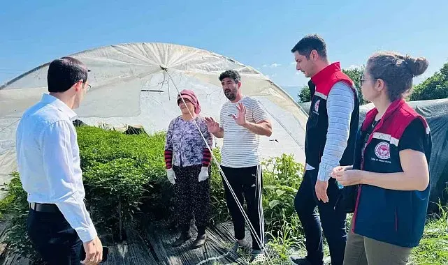 Bozdoğan'da tarımsal üretim sahada değerlendirildi