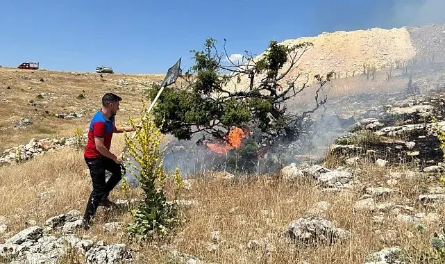 Besni'de 50 dönümlük alan yandı