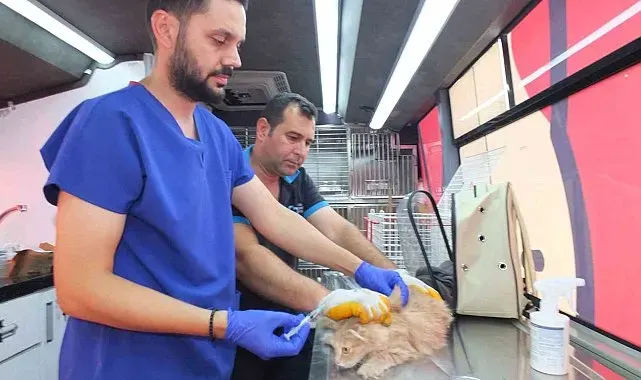 Balıkesir'de Can Dost 18 bin sokak hayvanına sağlık hizmeti verdi