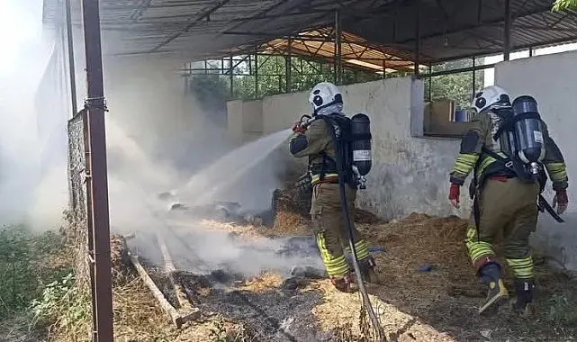 Dörtyol'da samalık yangını