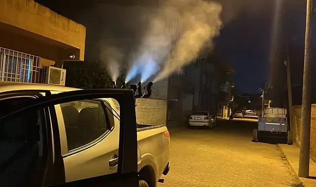 Germencik'te sivrisinek ve haşerelere karşı gece ilaçlaması