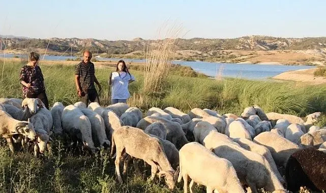 Çobanlık yaparken 2 dil öğrendi, üniversiteyi birincilikle bitirdi
