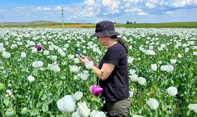 Tarımsal üretimin planlı şekilde yürütülmesi için çalışmalar sürüyor