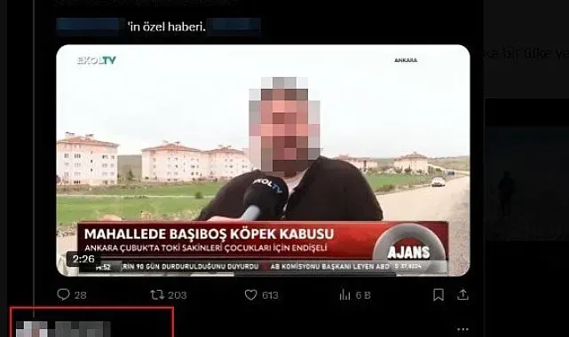 Aile sağlığı merkezindeki sedyede köpek tedavi eden doktorun skandal ifadeleri yeniden gündem oldu