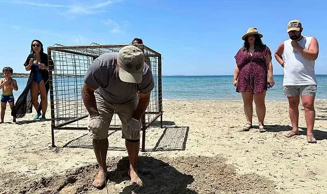 Aydın'da yılın ilk Caretta Caretta yuvası tespit edildi