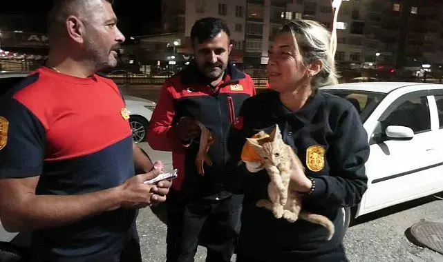 Yozgat'ta aracın motorunda mahsur kalan yavru kediyi itfaiye kurtardı