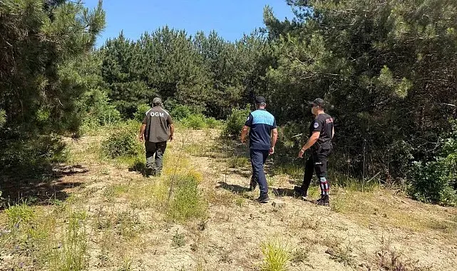 Dilovası'nda orman yangınlarına karşı sıkı denetim