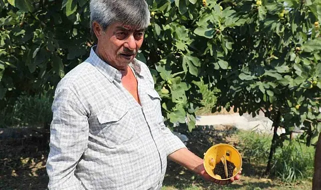 Muğla'da üreticinin emeğine çevre dostu koruma