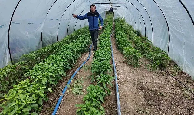 Gediz Ilıca Termal Tatil Köyünde hem sağlık hem de doğal lezzetler bir arada