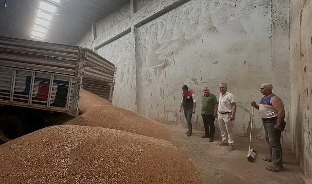 Koçarlı'da ilk hububat alımı gerçekleştirildi