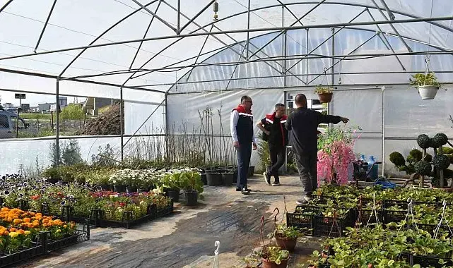 Bayburt'ta süs bitkisi ve tıbbi aromatik bitki üretimi yerinde incelendi
