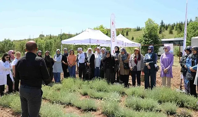 Bozkırların altın çiçeğinde hasat sevinci