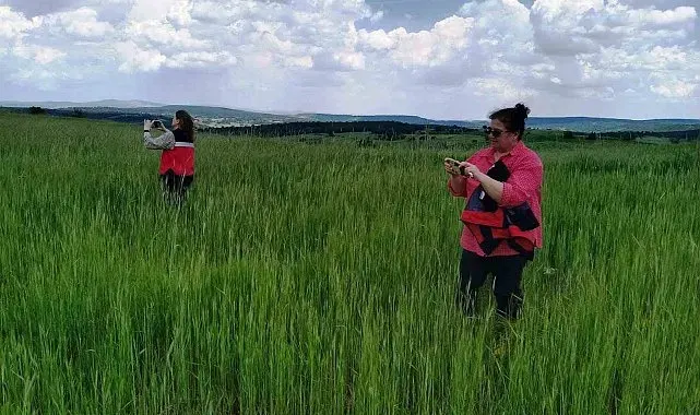 Kütahya'da saha kontrolleri ve veri giriş işlemleri aralıksız sürüyor