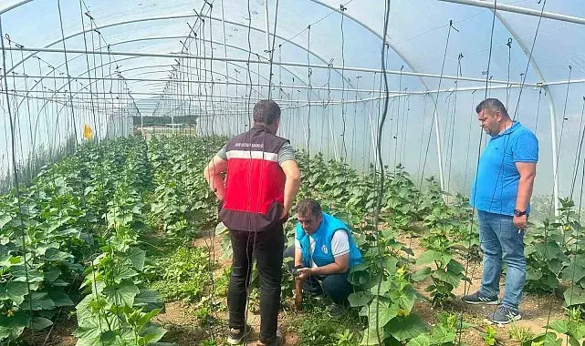 Tavşanlı cezaevi serasında üretim faaliyetleri incelendi
