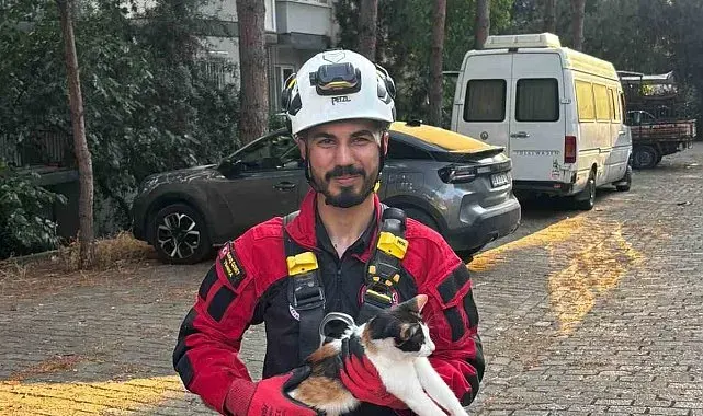 Üç gündür ağaçta mahsur kalan kedi kurtarıldı