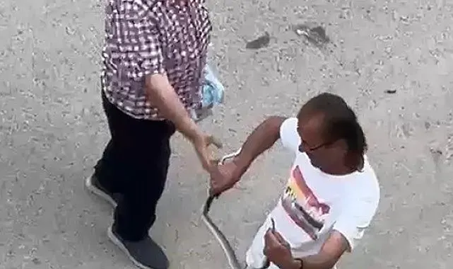 Paniğe sebep olan yılanı eliyle yakaladı