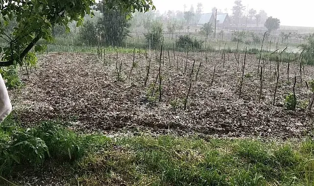 Bursa'da dolu… Keles'te tarım arazilerini dolu vurdu