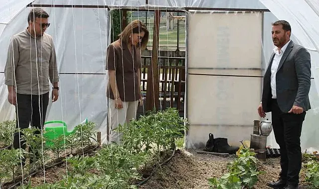 Altıntaş'ta okulun tarımsal üretim çalışmaları yerinde incelendi