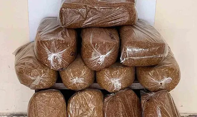 Bafra'da 60 kilo kaçak tütün ele geçirildi