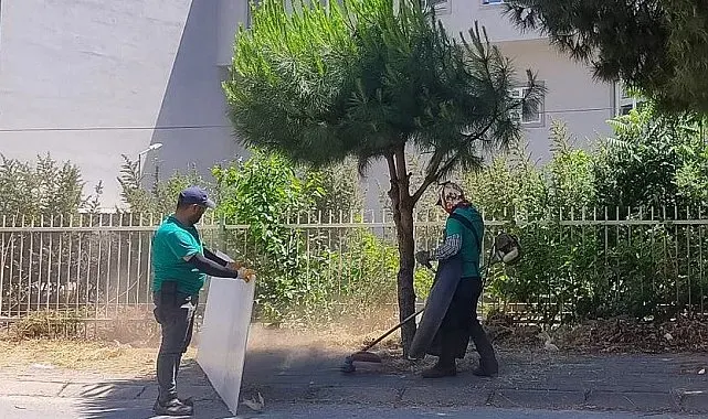 Efeler'in park ve yeşil alanlarında düzenleme çalışmaları sürüyor