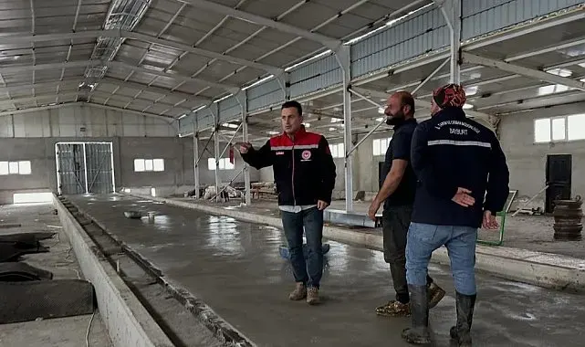 Aydıntepe'deki hayvancılık işletmelerinde kapasite değerlendirmesi yapılıyor
